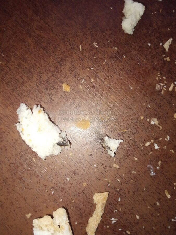 Крысиный помёт нашли в тверском хлебе жители региона