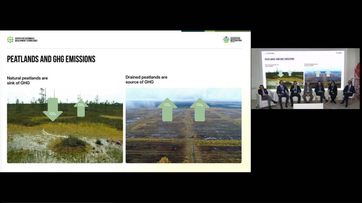 Учёные Тверской области представили проект по вторичному обводнению осушенных торфяников