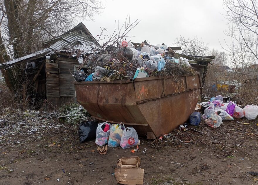 Город в Тверской области заполоняют крысы и ужасный запах