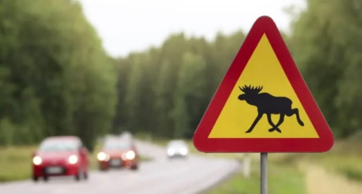 ДТП с участием несовершеннолетнего пассажира произошло в Тверской области