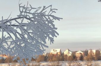 Жителей Тверской области предупредили об аномально холодной новогодней ночи