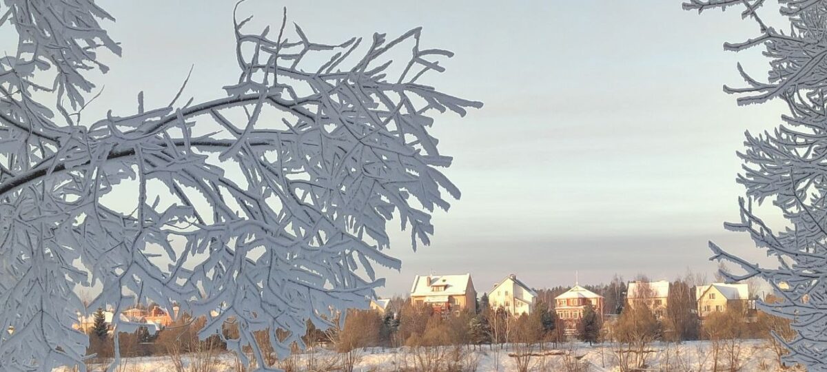 Жителей Тверской области предупредили об аномально холодной новогодней ночи