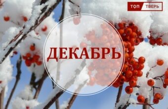 Кредиты простят, а в театр по паспорту: вступают в силу законы декабря