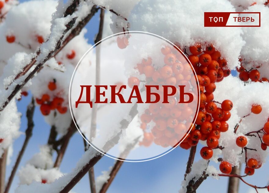 Кредиты простят, а в театр по паспорту: вступают в силу законы декабря