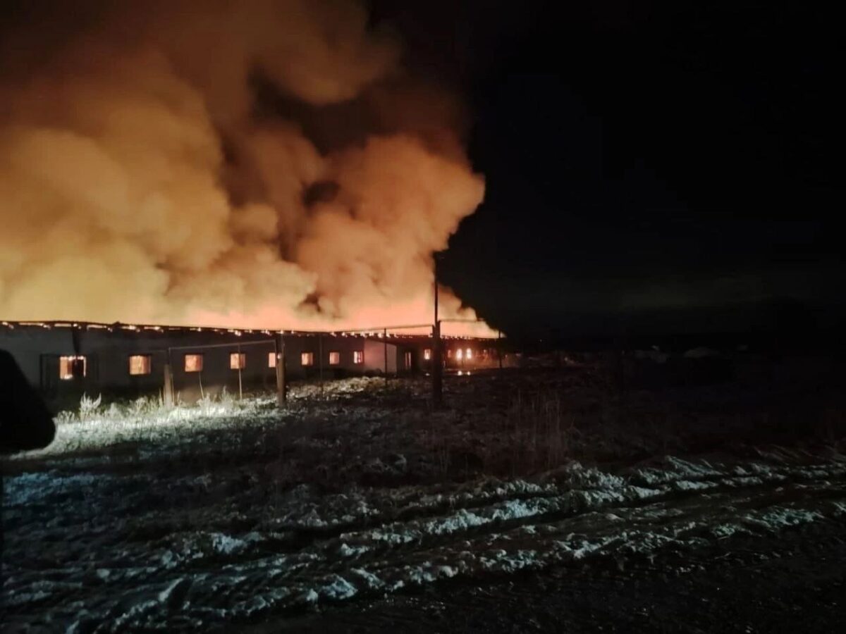 В Тверской области пожар на ферме унес жизни животных и разрушил надежды фермеров В Тверской области пожар на ферме унес жизни животных и разрушил надежды фермеров