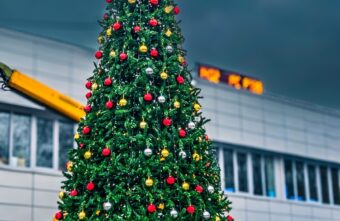 В Тверской области начали ставить новогодние ёлки В Тверской области начали ставить новогодние ёлки