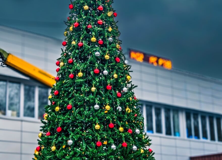 В Тверской области начали ставить новогодние ёлки