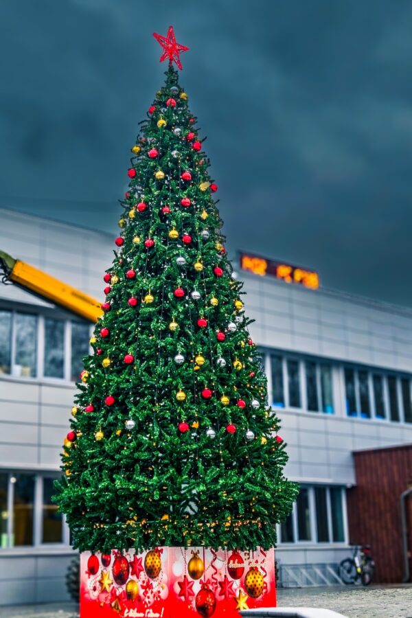В Тверской области начали ставить новогодние ёлки В Тверской области начали ставить новогодние ёлки