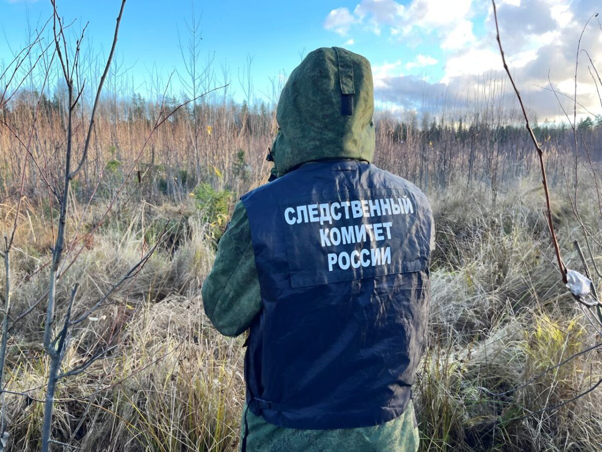 В Тверской области обнаружены костные останки пропавшего человека