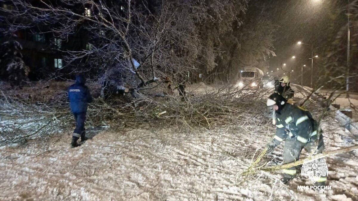В Тверской области аварийные службы и МЧС ликвидировали последствия непогоды