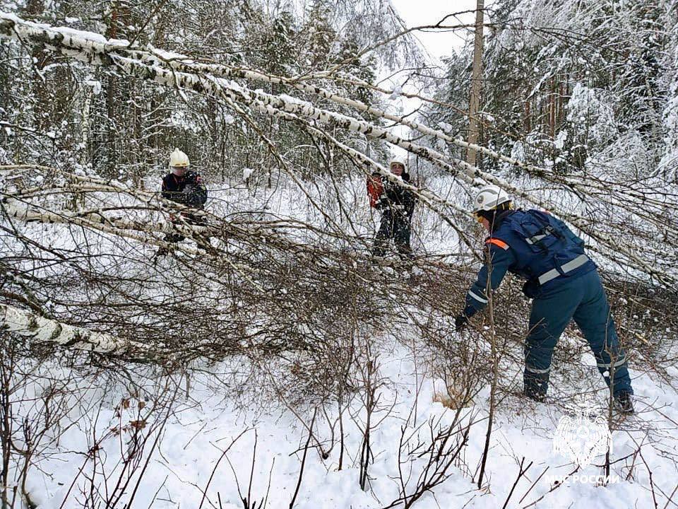 В Тверской области спасатели разгребают последствия природных катаклизмов