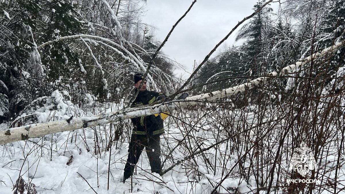 В Тверской области спасатели который день ликвидируют последствия зимних катаклизмов