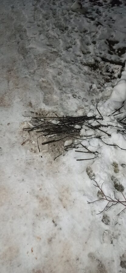 Для детей из Тверской области путь до школы стал настоящим испытанием