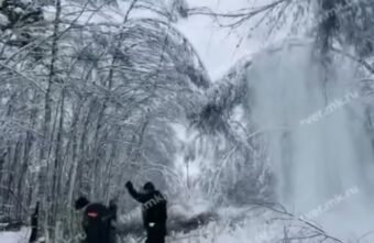 Для восстановления энергоснабжения в Тверской области спиливают деревья Для восстановления энергоснабжения в Тверской области спиливают деревья