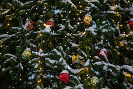 В городе Тверской области новогоднюю елку установят в другом месте В городе Тверской области новогоднюю елку установят в другом месте