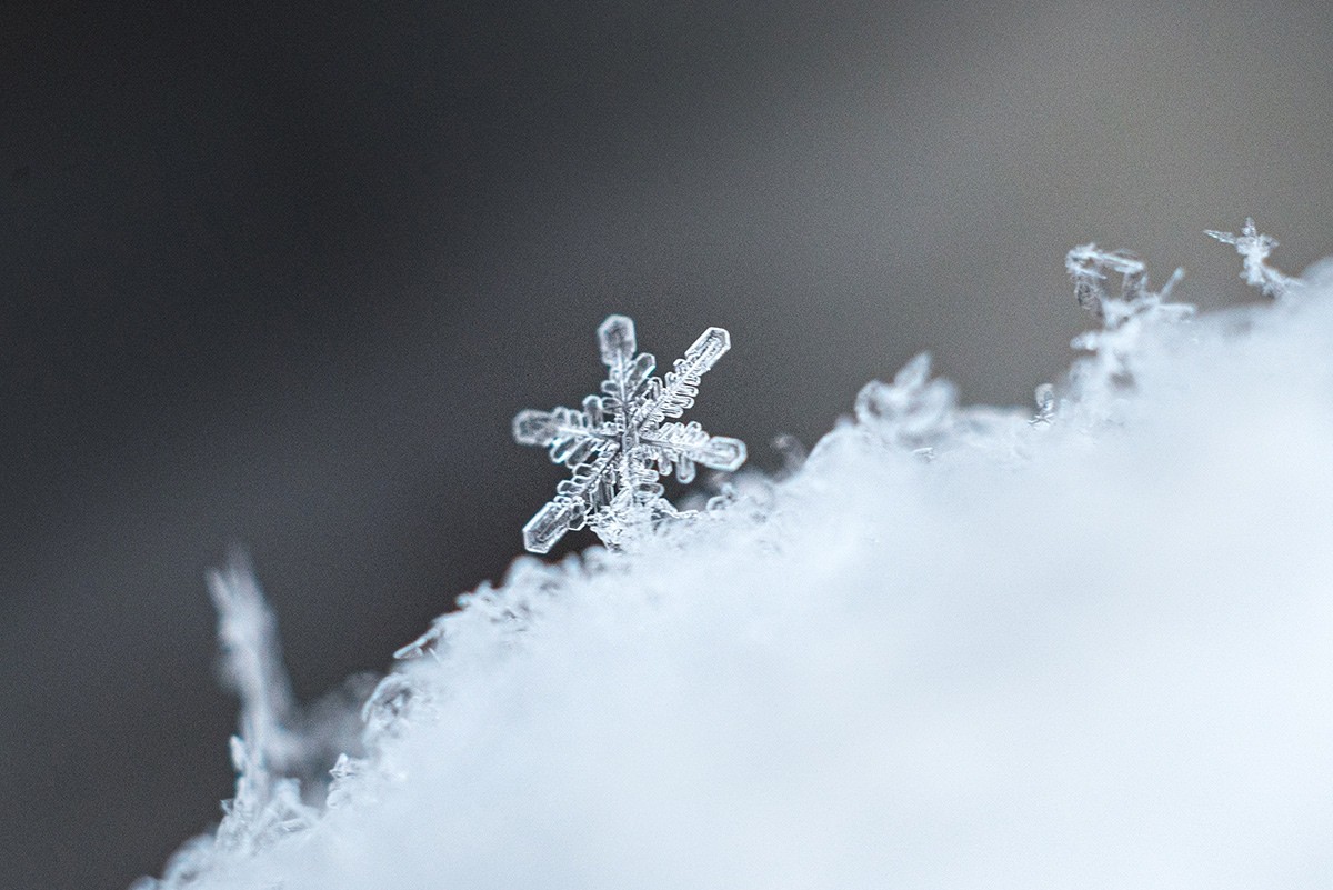 Синоптики изменили прогноз погоды на декабрь в Тверской области