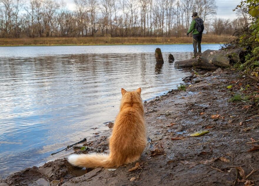 В Тверскую область идет большое потепление
