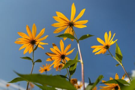 Синоптик рассказал, когда Тверская область сравнится по погоде с Краснодарским краем Синоптик рассказал, когда Тверская область сравнится по погоде с Краснодарским краем