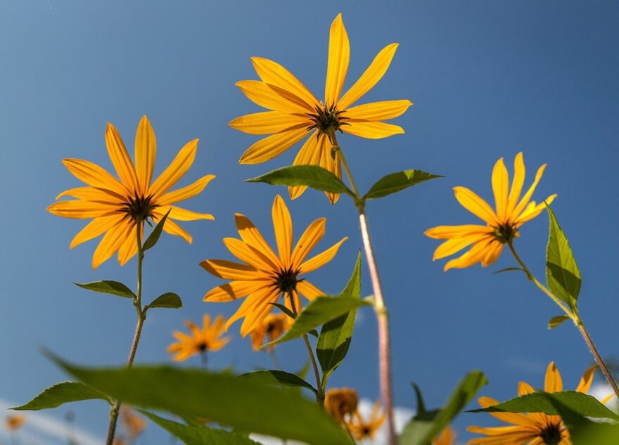 Синоптик рассказал, когда Тверская область сравнится по погоде с Краснодарским краем