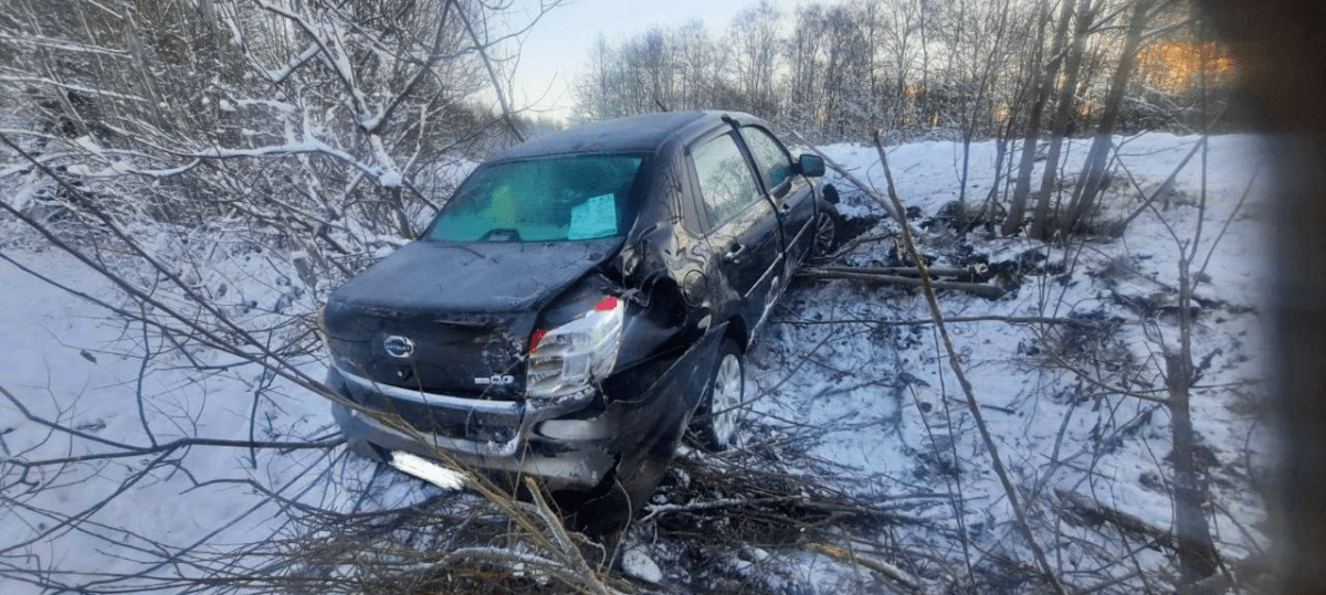 Женщина в Тверской области отвлеклась на телефон и съехала с дороги