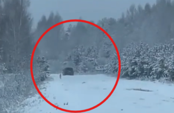 Жители Тверской области безжалостно выбросили из машины своего питомца и уехали Жители Тверской области безжалостно выбросили из машины своего питомца и уехали