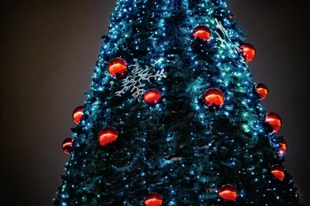 На Новый год россияне предпочли получить сюрпризы, чем заказанные подарки На Новый год россияне предпочли получить сюрпризы, чем заказанные подарки