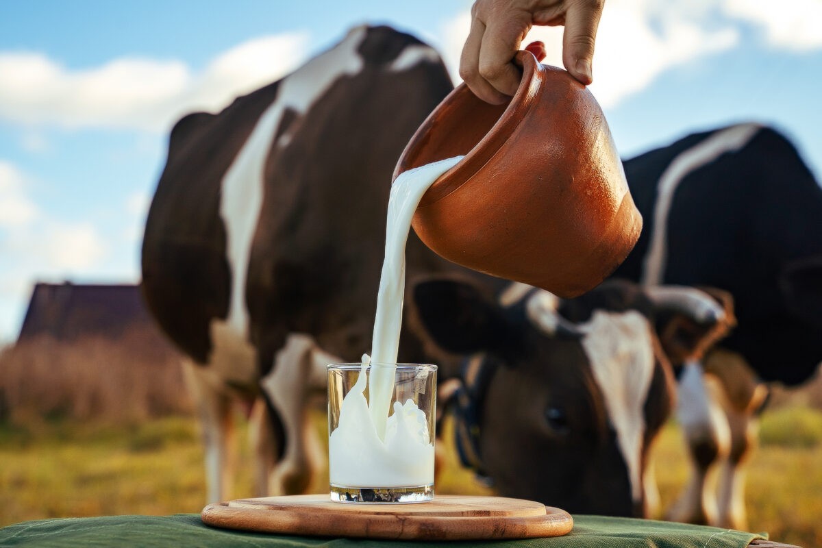 В России крупнейший производитель молока повысил цены на продукцию