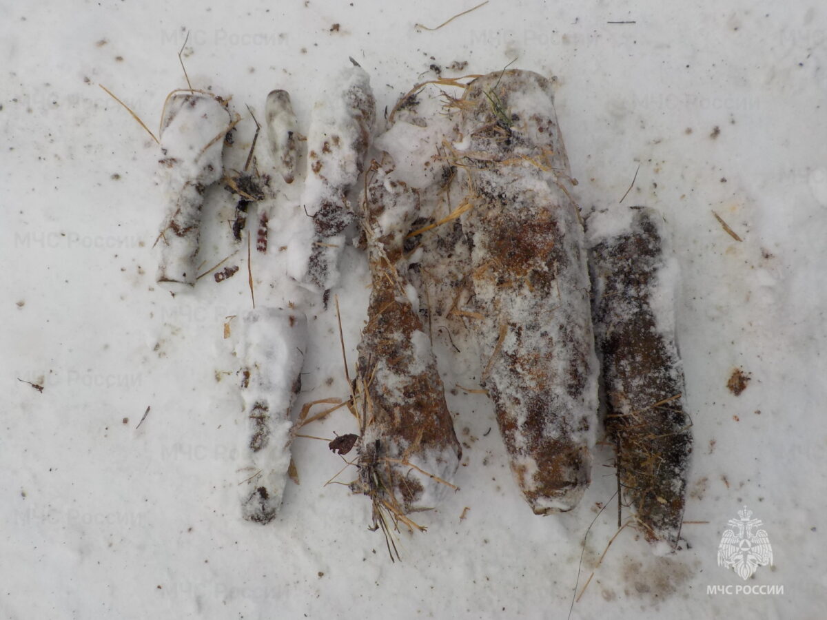 8 взрывоопасных предметов времён войны обезвредили в Тверской области