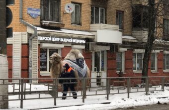 В Твери на зимнюю воскресную прогулку вышел верблюд В Твери на зимнюю воскресную прогулку вышел верблюд