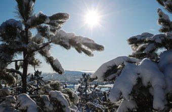 День зимнего солнцестояния: что можно и нельзя делать День зимнего солнцестояния: что можно и нельзя делать