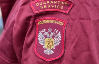 В Роспотребнадзоре прокомментировали информацию о смертоносном вирусе в Конго В Роспотребнадзоре прокомментировали информацию о смертоносном вирусе в Конго