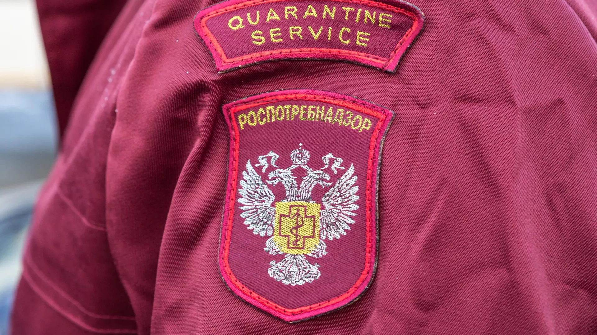 В Роспотребнадзоре прокомментировали информацию о смертоносном вирусе в Конго