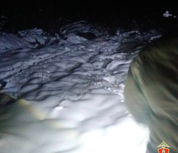 В Тверской области задержали браконьера, подстрелившего лосиху В Тверской области задержали браконьера, подстрелившего лосиху