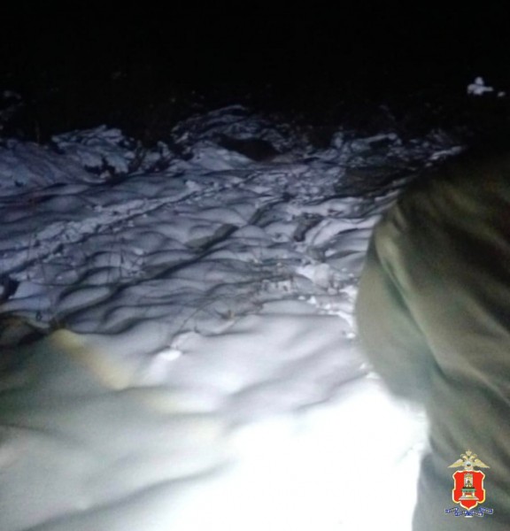 В Тверской области задержали браконьера, подстрелившего лосиху