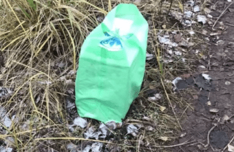 В Тверской области на мороз выбросили двухнедельных щенят В Тверской области на мороз выбросили двухнедельных щенят