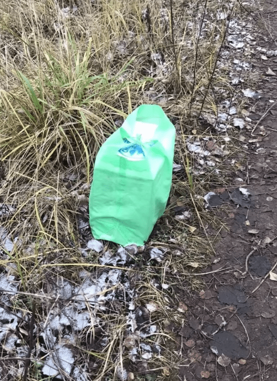 В Тверской области на мороз выбросили двухнедельных щенят В Тверской области на мороз выбросили двухнедельных щенят