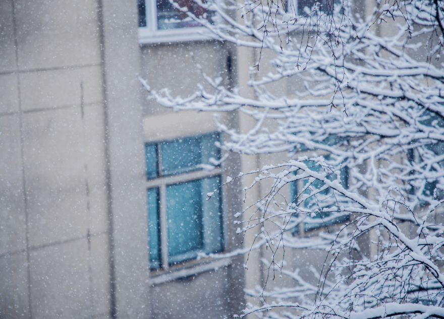 В январе в Тверской области ударят сибирские морозы