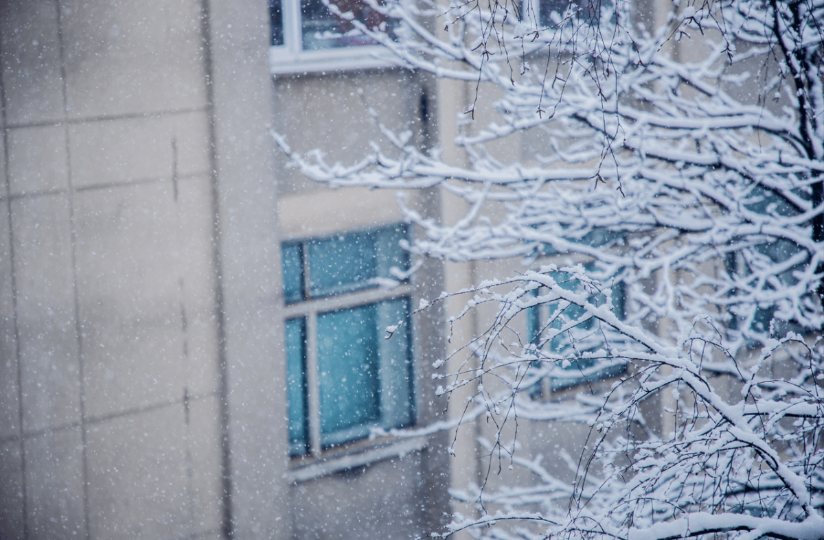 В январе в Тверской области ударят сибирские морозы