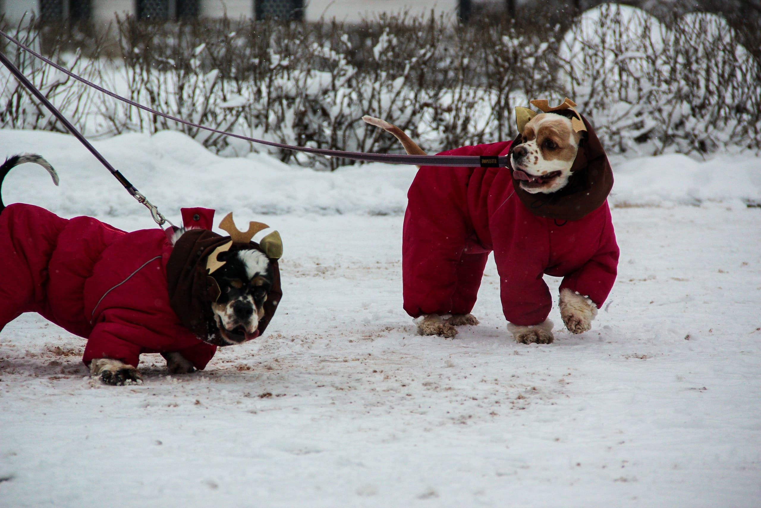 Жителей и гостей Твери радует весельем и товарами Рождественская ярмарка