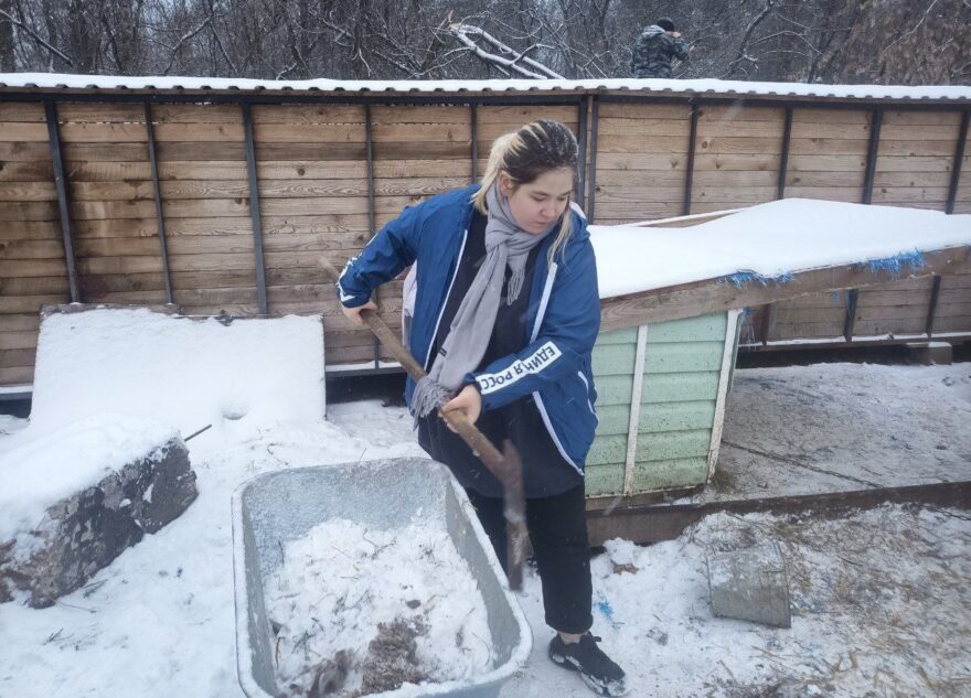 Активисты «Единой России» поддержали приют для бездомных животных