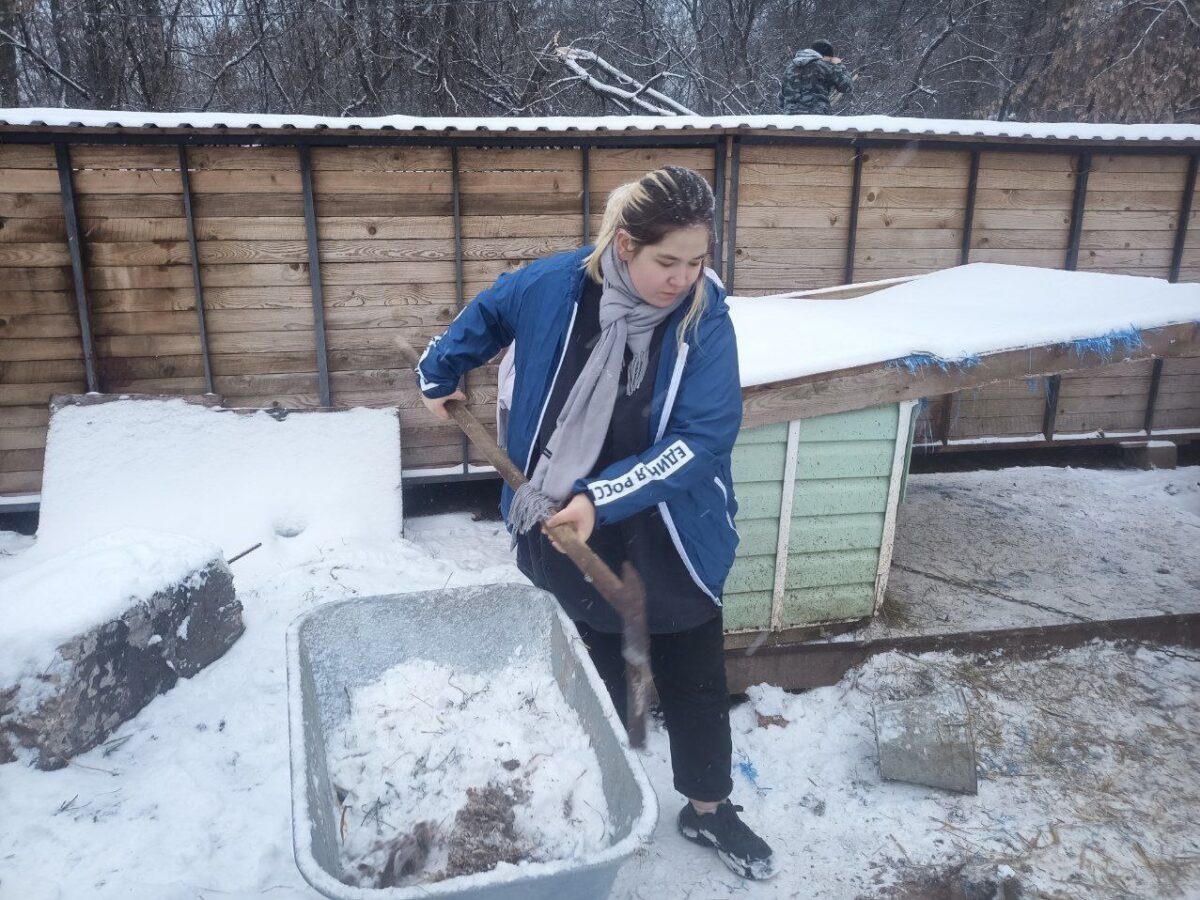 Активисты «Единой России» поддержали приют для бездомных животных