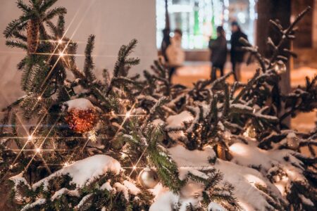 В Ржеве Тверской области отменили новогодние мероприятия