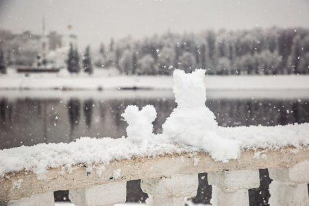 Синоптики рассказали, когда Тверская область опять поплывет  