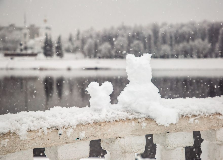 Синоптики рассказали, когда Тверская область опять поплывет  