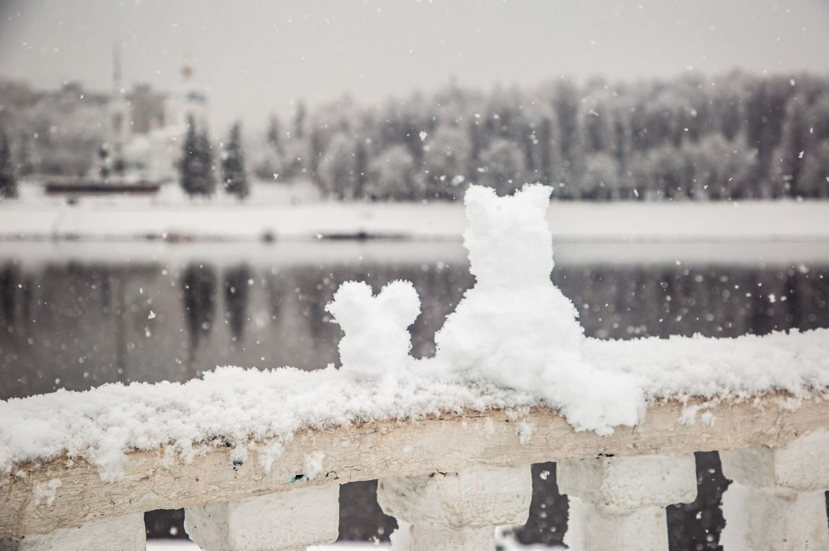 Синоптики рассказали, когда Тверская область опять поплывет  