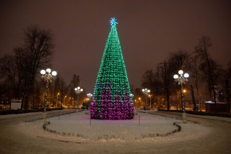 Эксперт назвал все новогодние елки неэкологичными