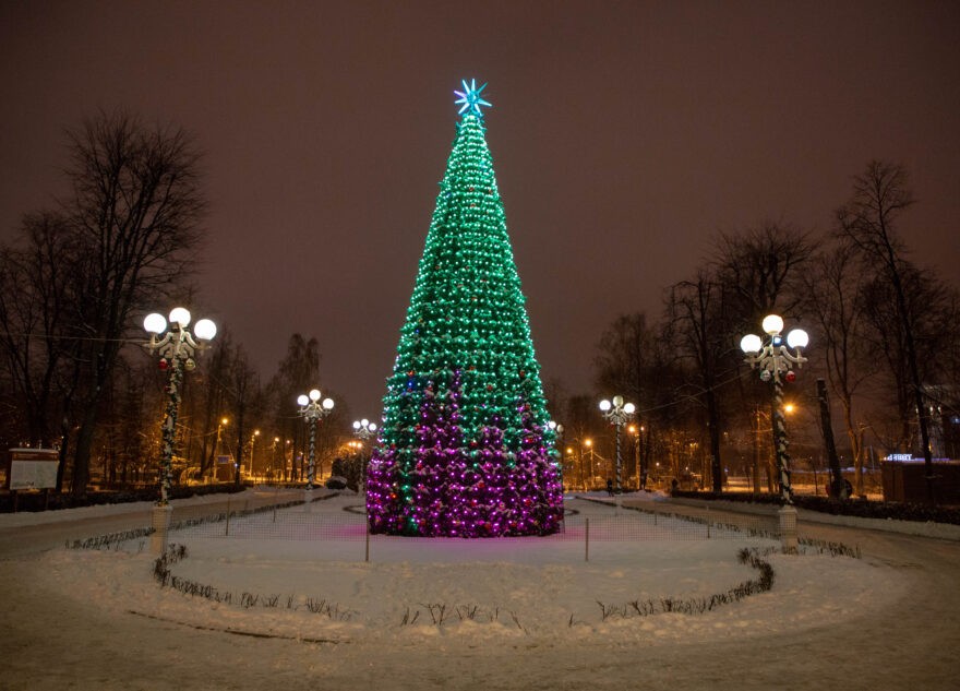 Эксперт назвал все новогодние елки неэкологичными