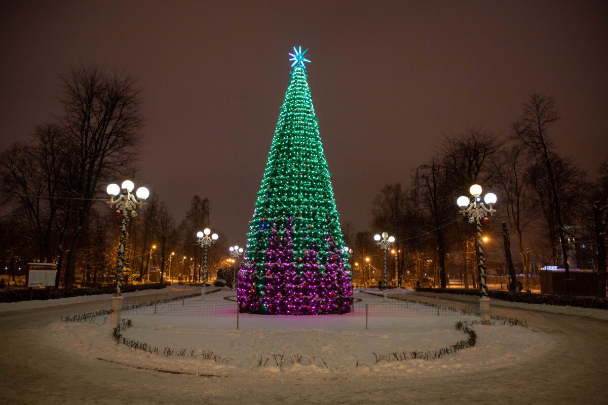 Эксперт назвал все новогодние елки неэкологичными
