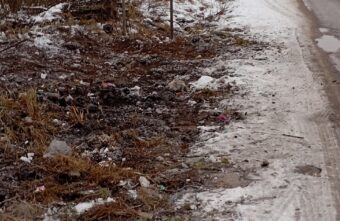 В Тверской области прямо на въезде в город люди устроили помойку В Тверской области прямо на въезде в город люди устроили помойку