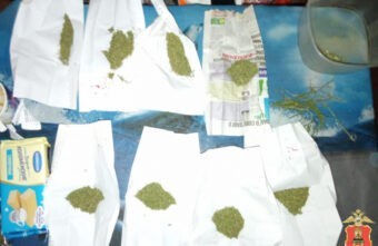 В квартире у жителя Тверской области нашли коноплю В квартире у жителя Тверской области нашли коноплю